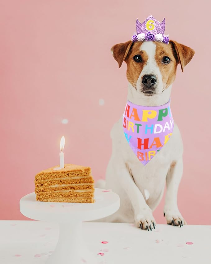 PET SHOW Purple Crown Dog Birthday Party Hat - Image 7