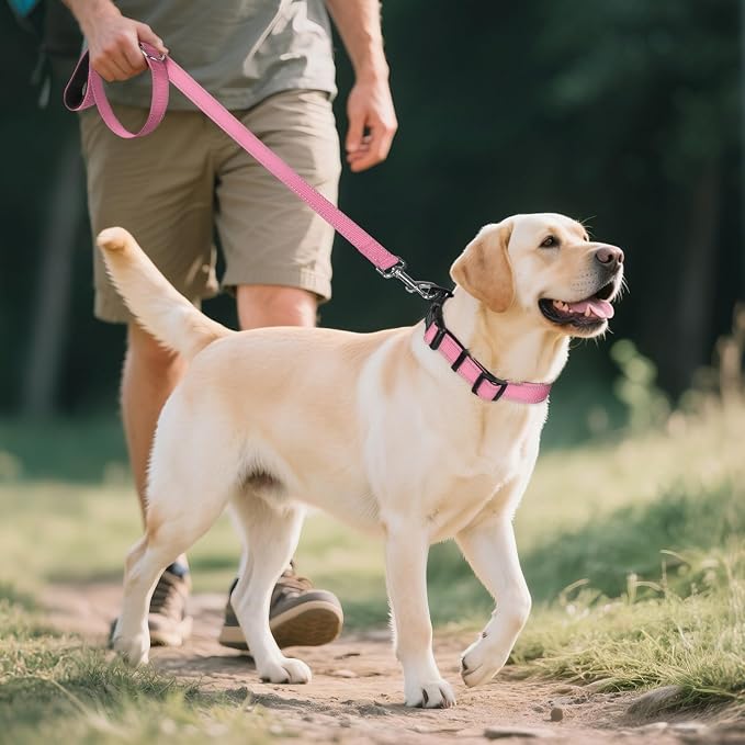 Joytale Reflective Dog Collar, Soft Neoprene Padded, Metal D-Ring, Nylon Pet - Image 6