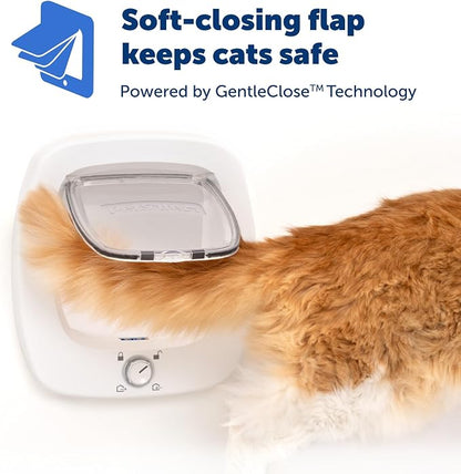 PetSafe Big Cat Door - Image 4