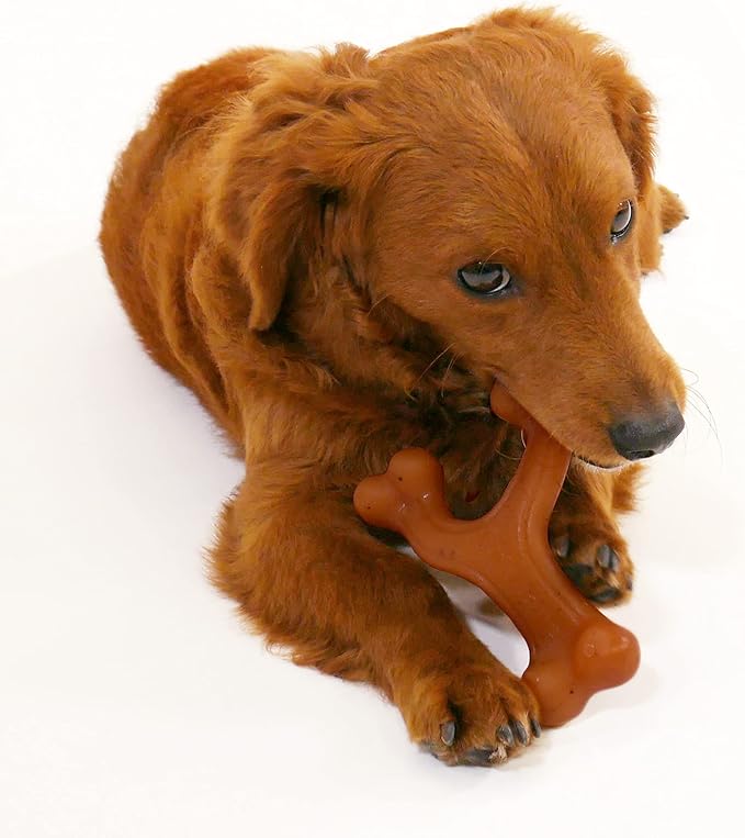 Nylabone Gourmet Style Wishbone Strong Chew Toy - Image 3