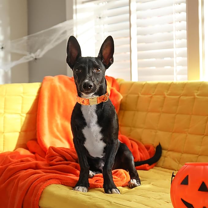 Unique style paws Dog Collar Metal Buckle Collar - Image 3