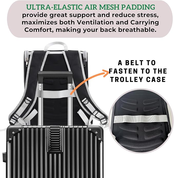 Lollimeow Cat Backpack Carrier, Airline Approved, Safe - Image 4