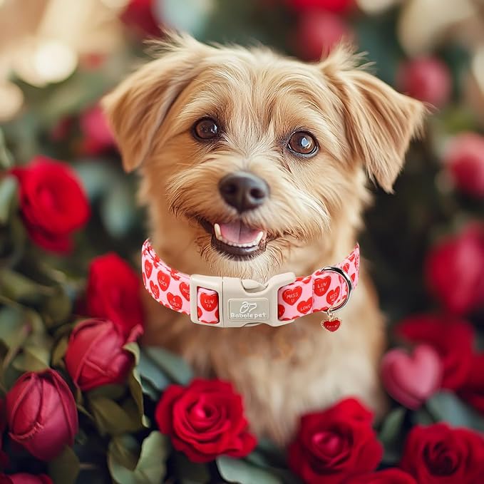 Valentines Dog Collar for Large Dogs - Image 2