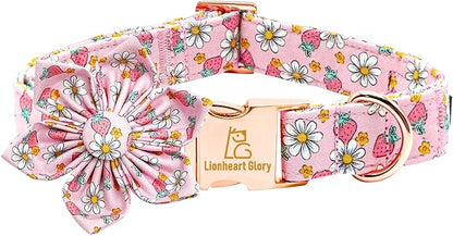 Lionheart glory Dog Collar Flower Collar Pink Dog Collar by LionheartGlory