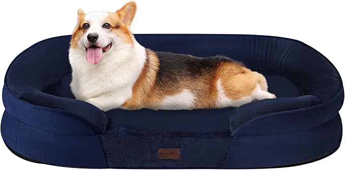 Dwanton Orthopedic Dog Bed for Medium Dogs by DWANTON