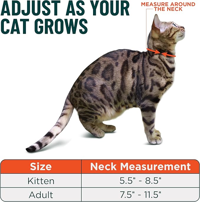OutdoorBengal Green Cat Collar Breakaway, Soft Padding - Image 5