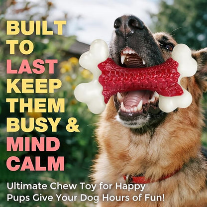 10-Pack Tough Dog Toys, Toys for Aggressive Chewers Large Breed, Chew Dogs - Image 8