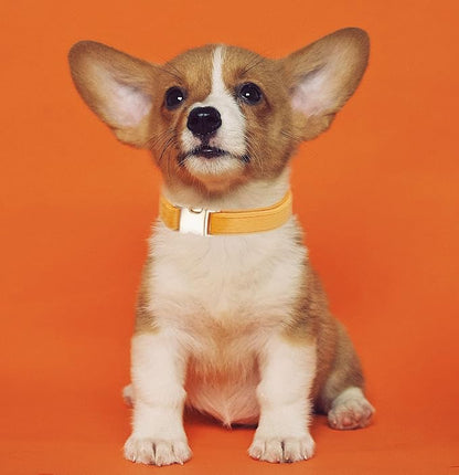 Soft Cotton Dog Collar with Metal Buckle Adjustable Heavy Duty Comfy Corduroy - Image 5