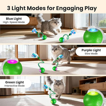 Rocfish Interactive Cat Toy for Indoor Cat, Smart Automatic Cat Chase Ball Toy - Image 3
