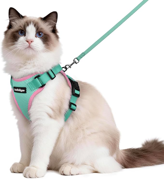 rabbitgoo Cat Harness and Leash by rabbitgoo