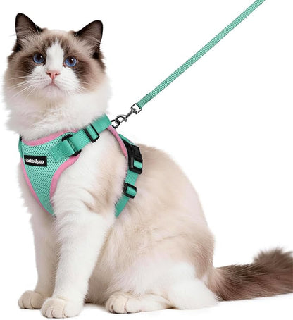 rabbitgoo Cat Harness and Leash by rabbitgoo