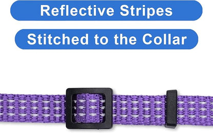 Pawtitas Reflective Purple Cat Collar - Image 4
