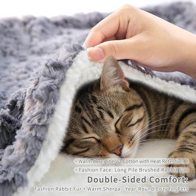 Cat Blanket for Indoor Cats - Image 2