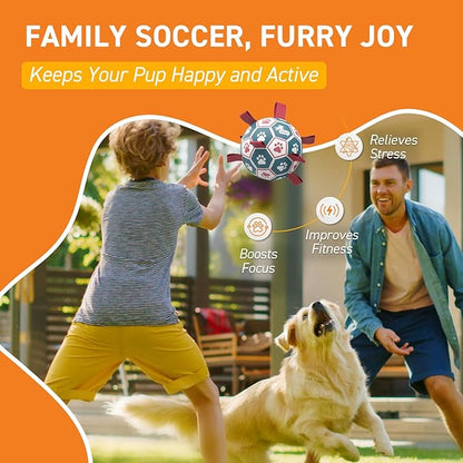 QDAN Dog Balls, World Cup Soccer Ball - Image 4