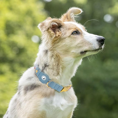 AirTag Dog Collar for Small Medium Large Breed - Image 7