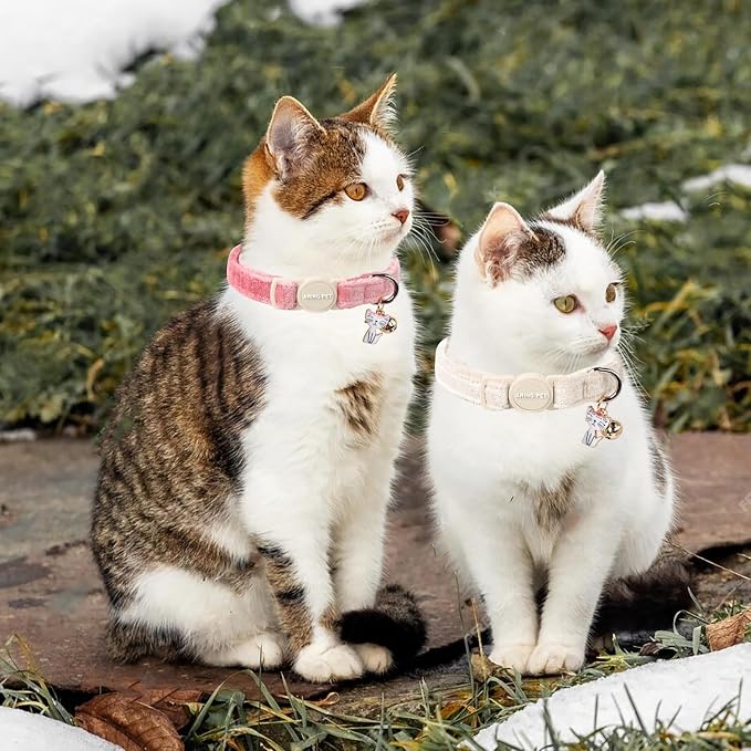 ARING PET 2 Pack Cat Collar-Cute Cotton Cat Collar - Image 4