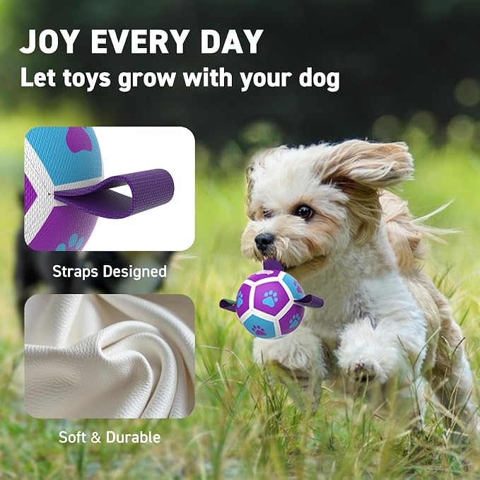 QDAN Small Dog Toys, Puppy Balls, Dog Balls - Image 4