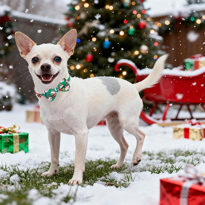 EXPAWLORER Christmas Cat Collar Breakaway - Image 7
