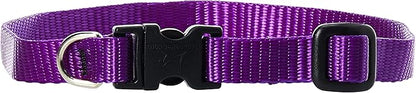 LupinePet Basics 1/2" Purple 10-16" Adjustable Collar by LupinePet