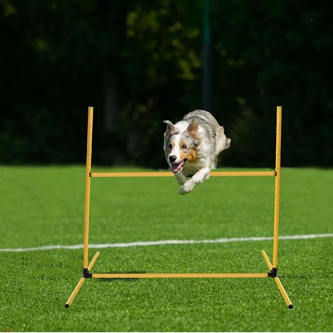 6 Pcs Dog Agility Training Equipments Dog Agility Jumps Hurdles Adjustable - Image 5