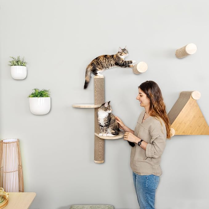 Cat Climbing Wall System – Modern Floating Shelves & Perches - Image 3