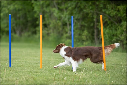 Trixie Dog Agility Slalom Course - Image 3