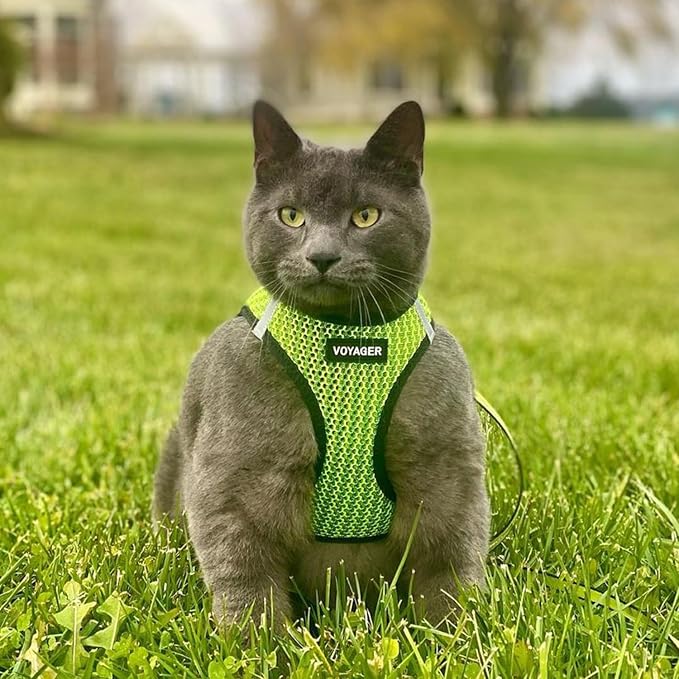 Best Pet Supplies Voyager Step-in Air Harness - Image 8
