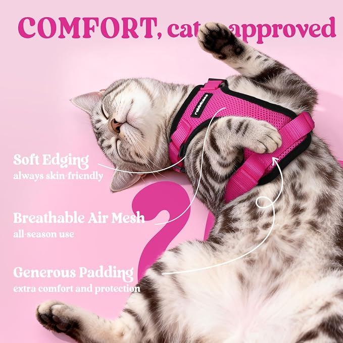 rabbitgoo Cat Harness and Leash - Image 4