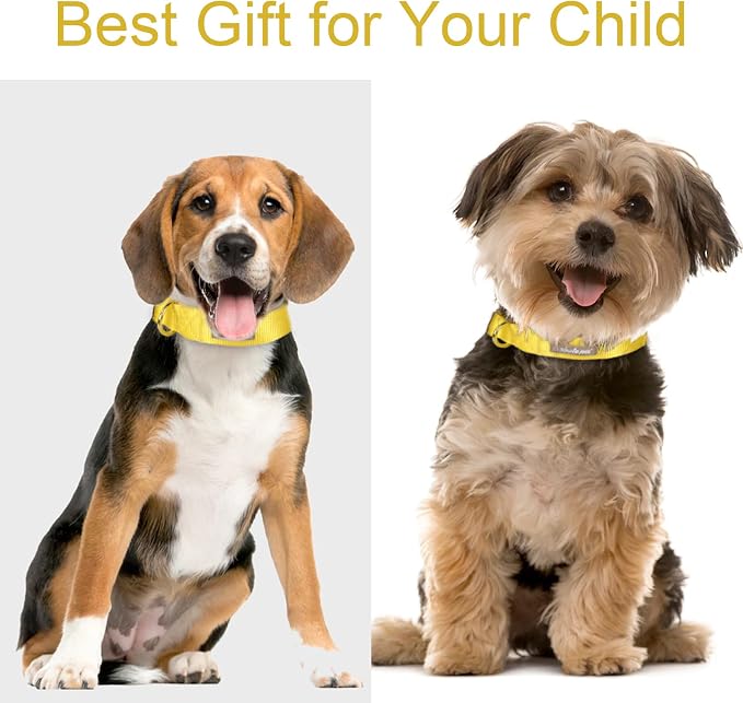 Nylon Dog Collar - Image 3