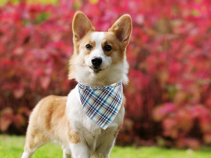 Lionet Paws Dog Bandana Washable Cotton Handkerchief Scarf Triangle Bandana - Image 5