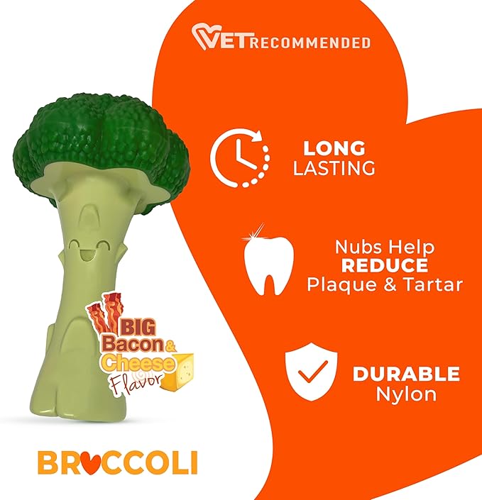 Nylabone Broccoli Power Chew Toy - Image 4