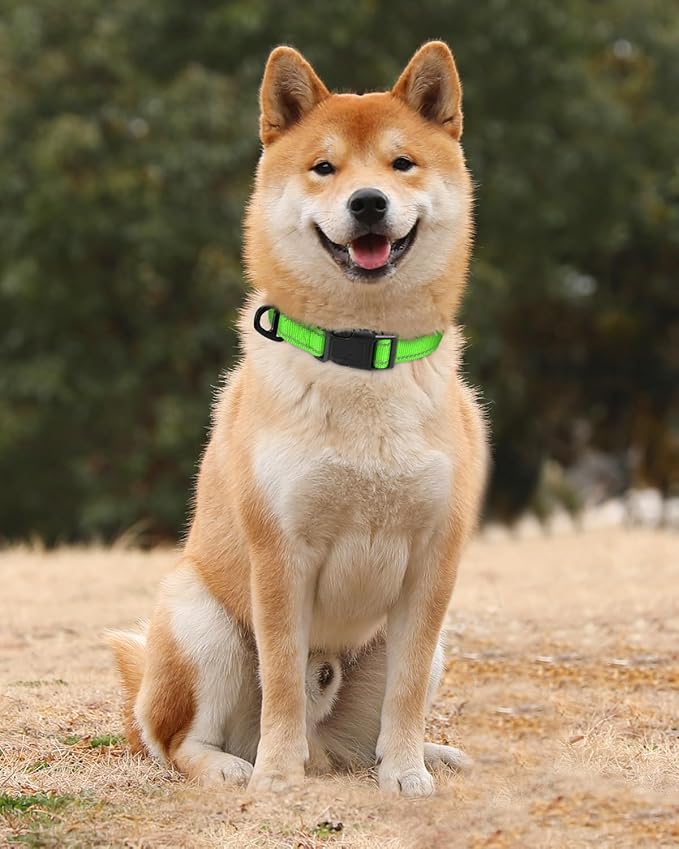 TagME Reflective Nylon Dog Collars, Adjustable Classic Pet Collar - Image 2