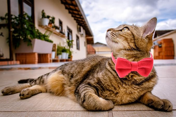 Cat Collar Breakaway with Bell and Removable Bow Tie Safety Buckle Velvet - Image 7