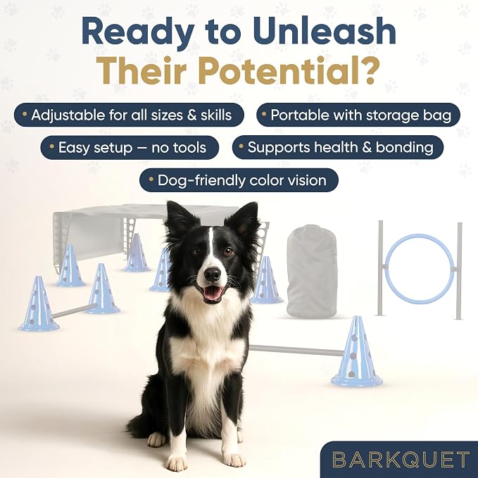 Dog Agility Course Backyard Set Complete Dog Agility Equipment - Image 6