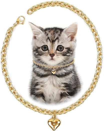 HOWWFALY Dog Collar and Cat Chain Necklace Stainless Steel Adjustable 18K Gold by HOWWFALY