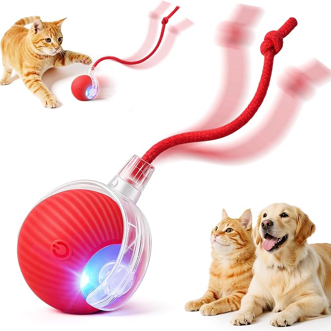 Interactive Electric Automatic Rolling Moving USB Rechargeable Self Activated by Unknown