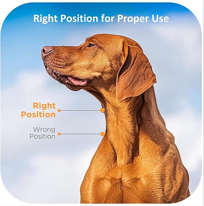 Dog Prong Collar - Image 5