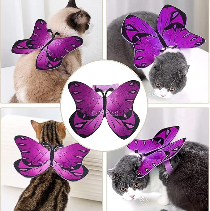 Pet Cat Bat Wings for Halloween Party Decoration, Puppy Collar Leads Cosplay - Image 4