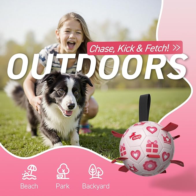 QDAN Valentines Gift Dog Toys, Interactive Tug of War Toy, Puppy Birthday Gifts - Image 4
