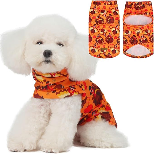 EXPAWLORER Thanksgiving Cat Sweater by EXPAWLORER