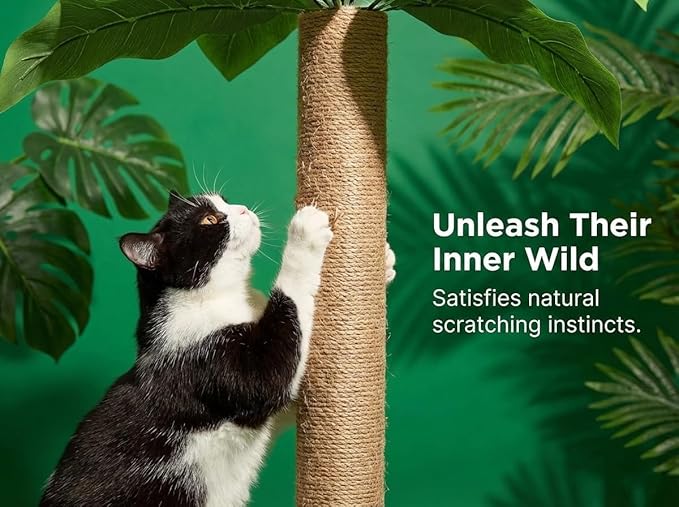 31.5Inch Cat Scratching Post, Cat Scratcher Tree - Image 5