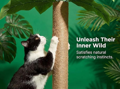 31.5Inch Cat Scratching Post, Cat Scratcher Tree - Image 5