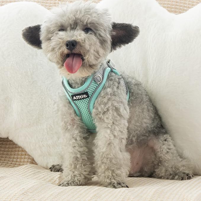 AIITLE Small Harness for Puppy - Image 9