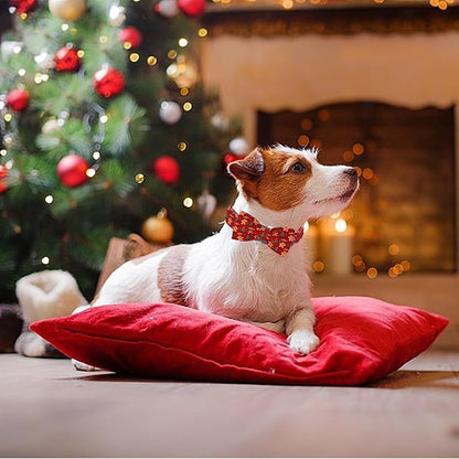 Christmas Dog Collar, Soft Pet Collar Gingerbread Man Cute Dog Collar - Image 5