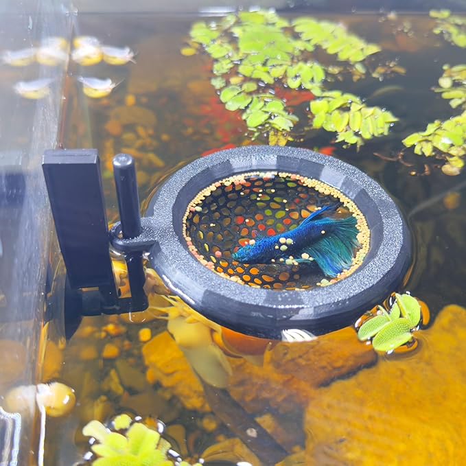 Fish Tank Floating Betta Hide，Betta or Shrimp Burrows and Hammock, Fish and by HOZOE