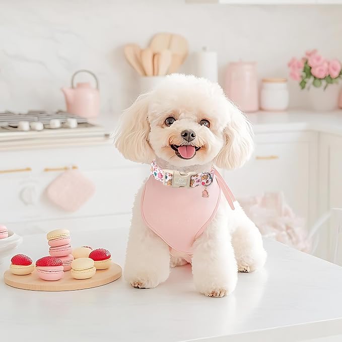 Cute Dinosaur Dog Collar, Adjustable Pink Dino Dog Collars - Image 2