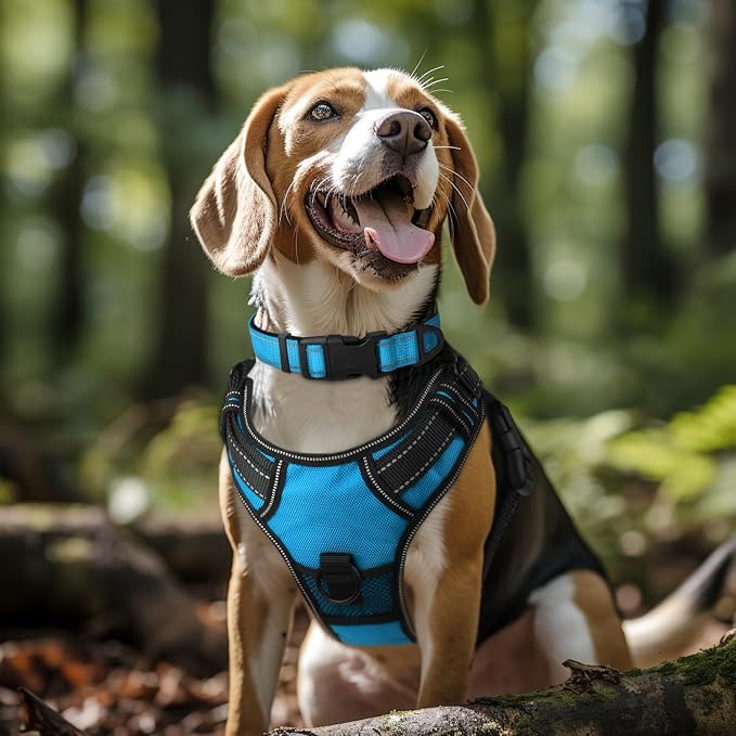 Joytale Reflective Dog Collar, Soft Neoprene Padded, Metal D-Ring, Nylon Pet - Image 2