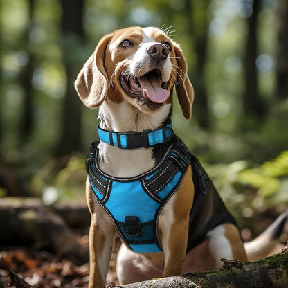Joytale Reflective Dog Collar, Soft Neoprene Padded, Metal D-Ring, Nylon Pet - Image 2