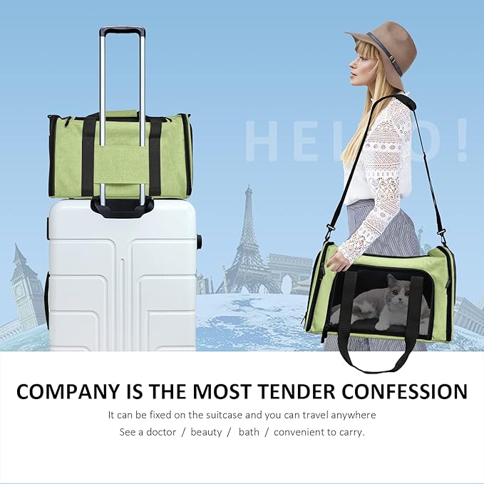 Henkelion Large Cat Carriers Dog Carrier Pet Carrier - Image 6
