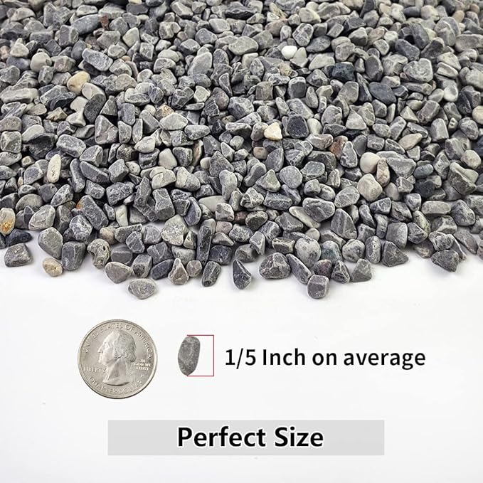 5LB Succulent and Cactus Gravel Pebbles, 1/5 Inch Natural Decorative Polished - Image 2